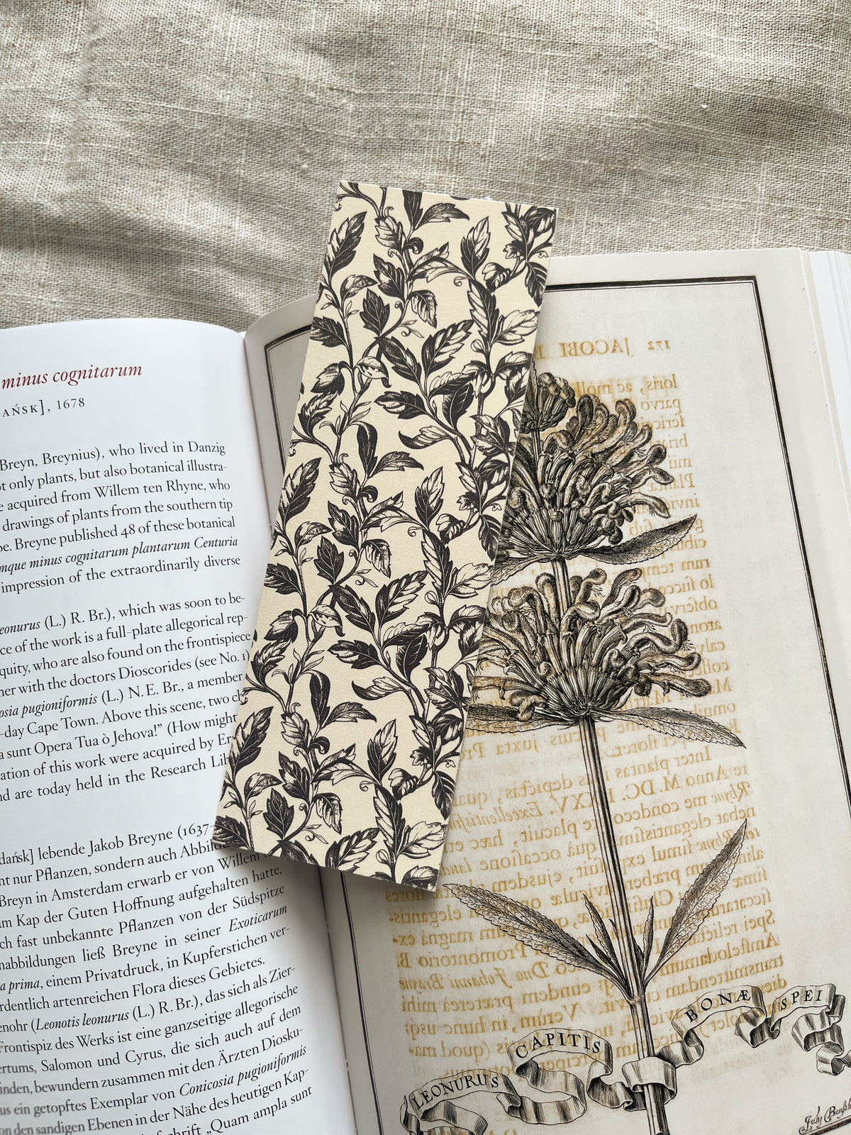 Trailing Vine Bookmark