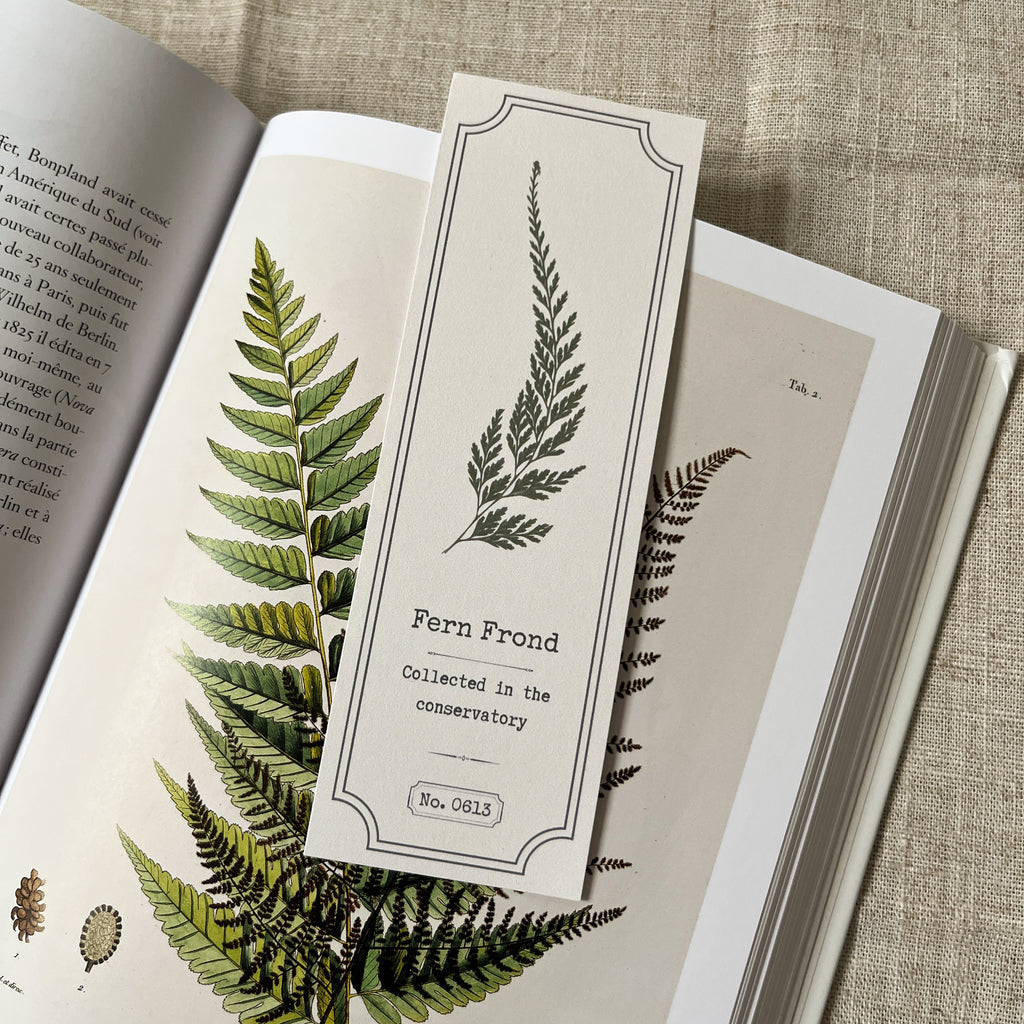 Fern Frond Specimen Bookmark