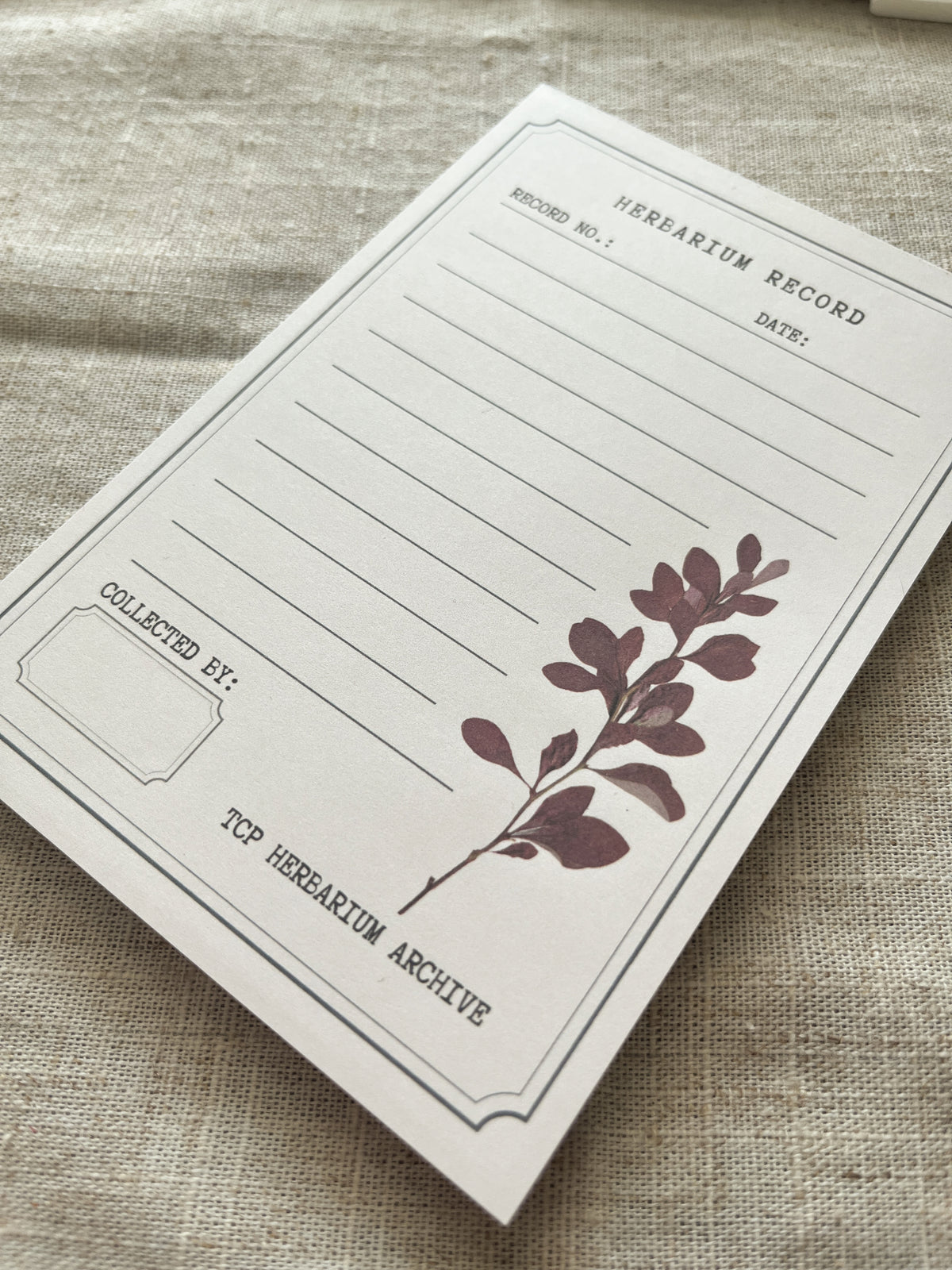 Herbarium Record - 4x6" Notepad