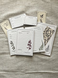 Herbarium Collection Bundle