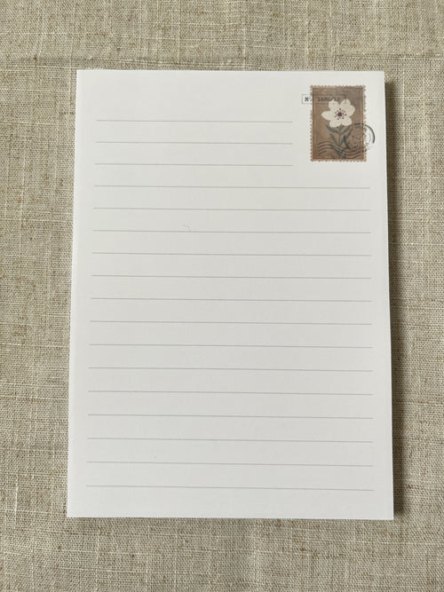 Letters from the Conservatory – Correspondence Pad