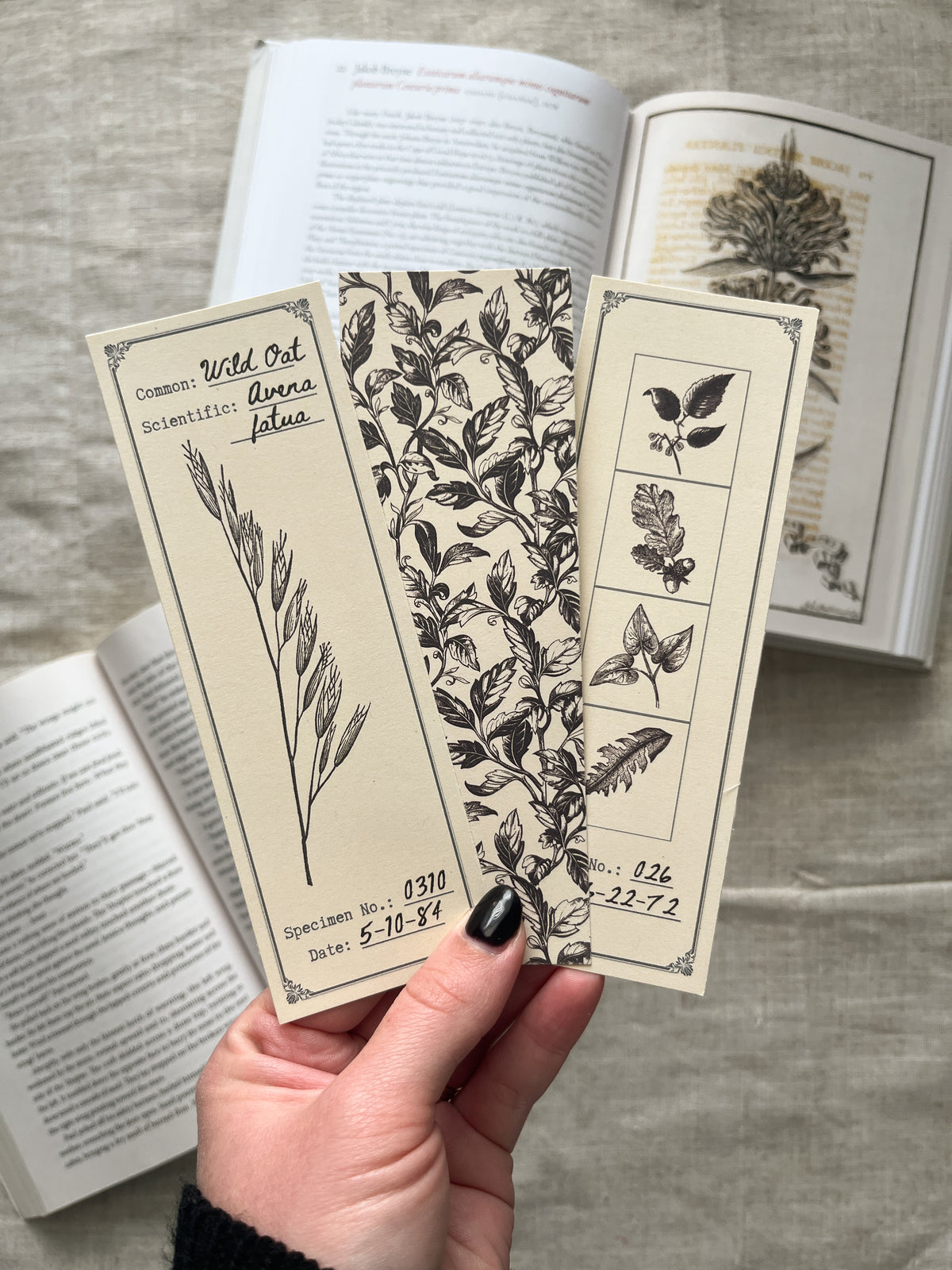 Herbarium Bookmark Bundle
