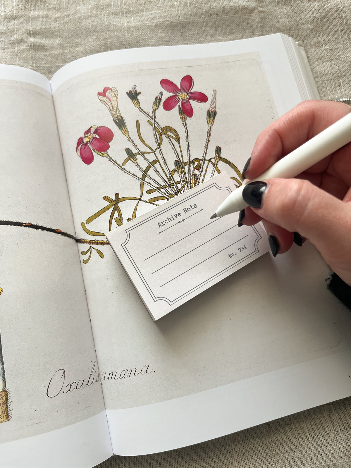 Archive Note - 3x2" Mini Notepad