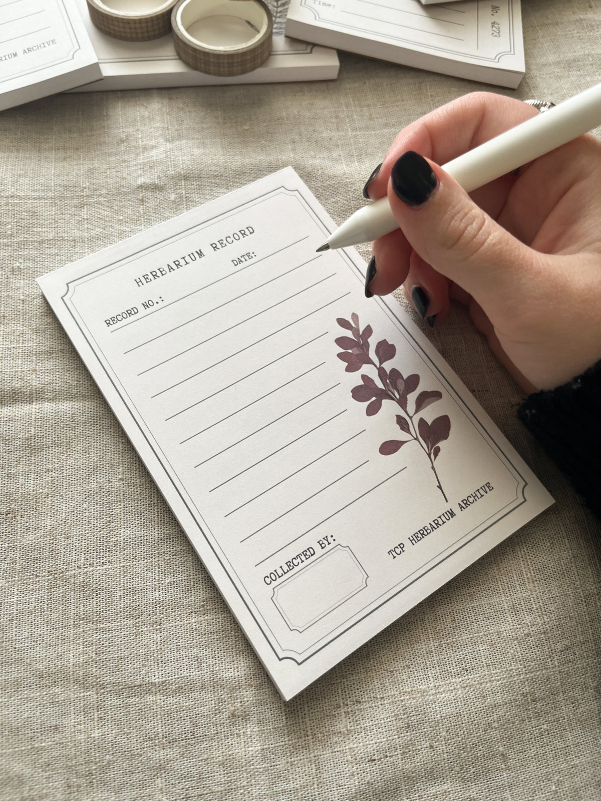 Herbarium Record - 4x6" Notepad