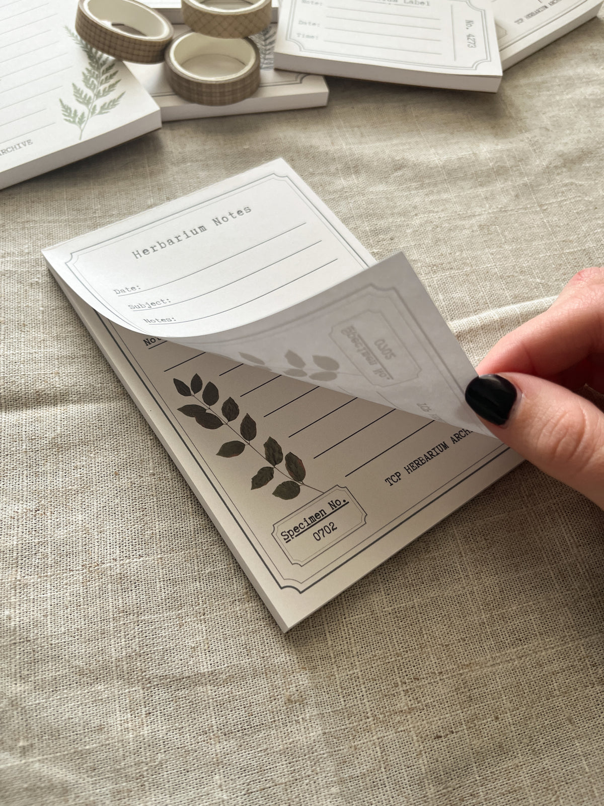 Herbarium Notes - 4x6" Notepad