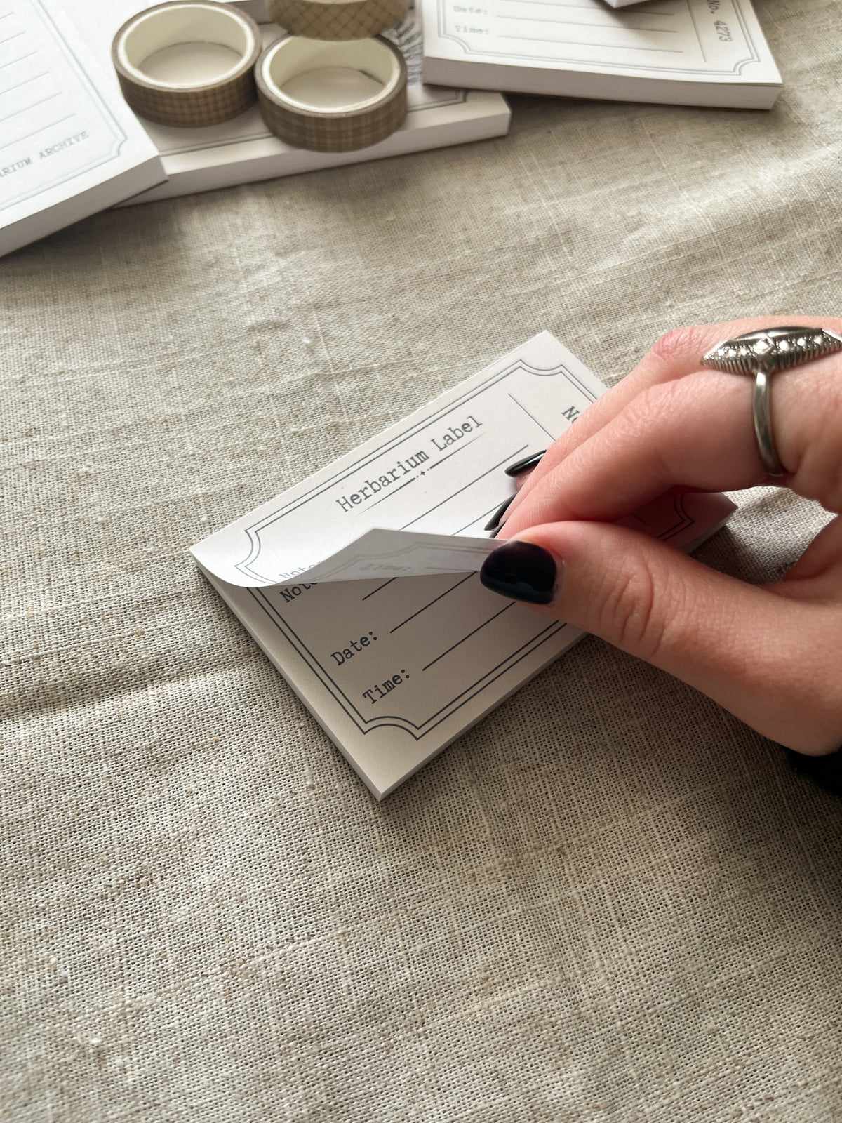 Herbarium Label - 4x2.5" Mini Notepad