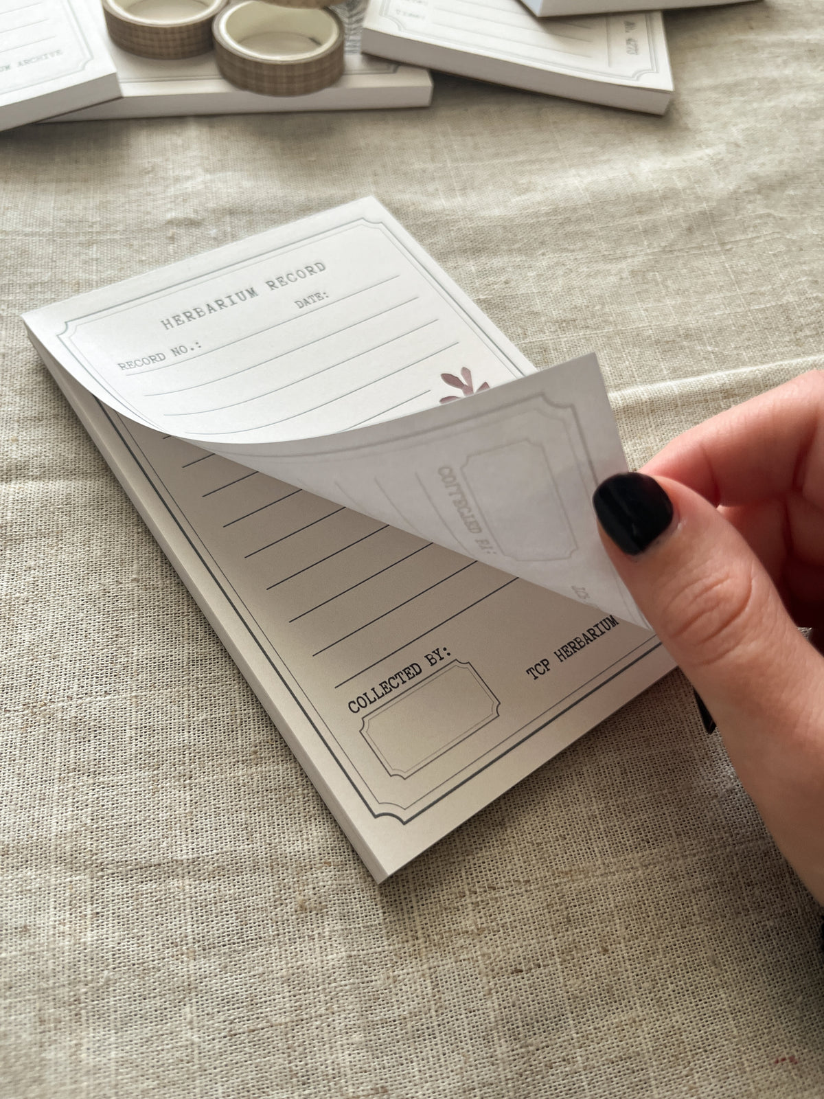 Herbarium Record - 4x6" Notepad