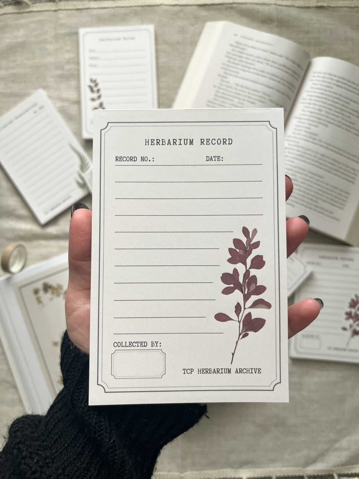 Herbarium Record - 4x6" Notepad